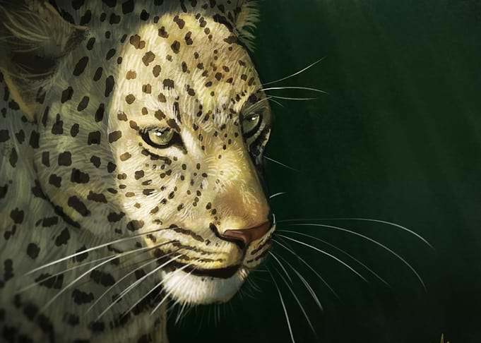 tiger