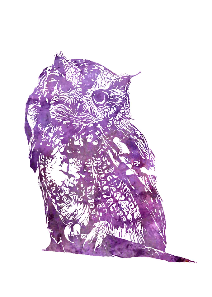 purple owl
