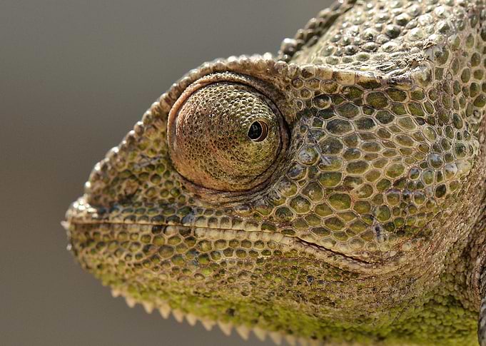 Glance