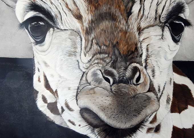 giraffe