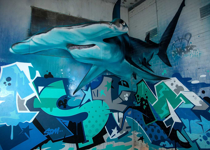3D Cornered Shark