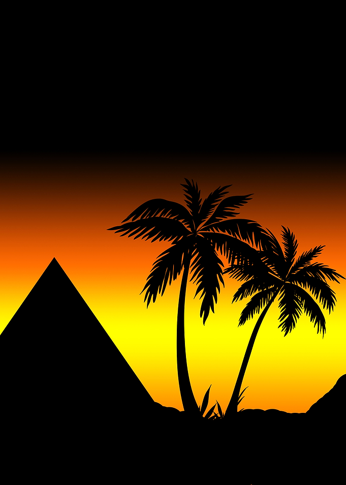 desert palms