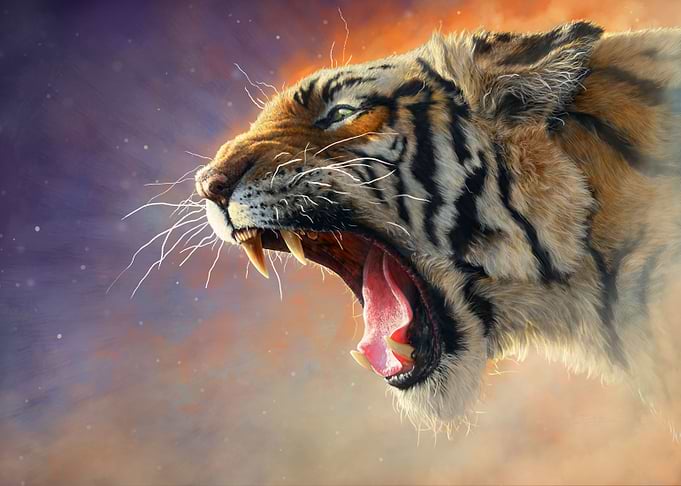 Hear me Roar