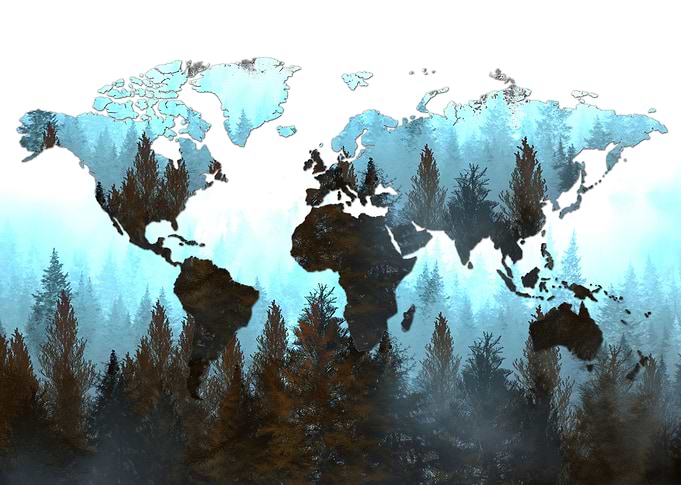 world map forest