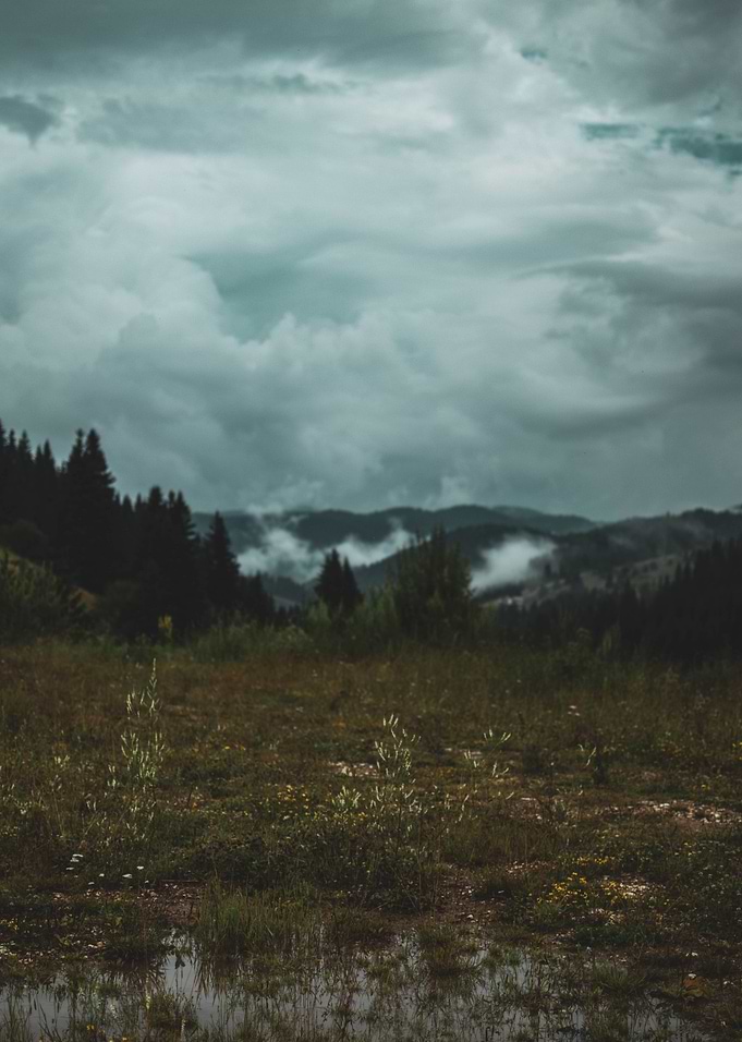 After the storm