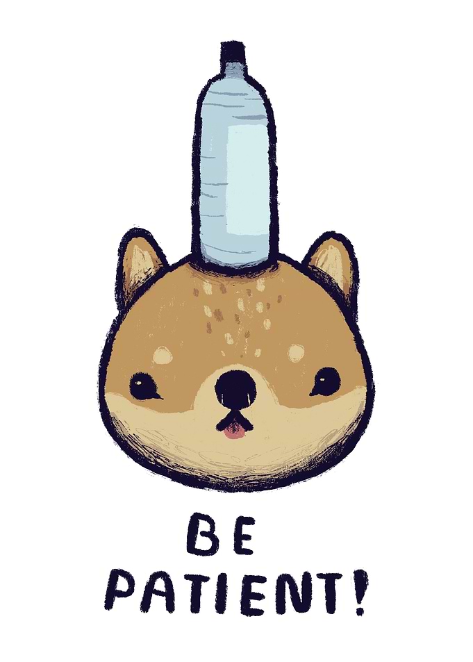 be patient! - shiba inu