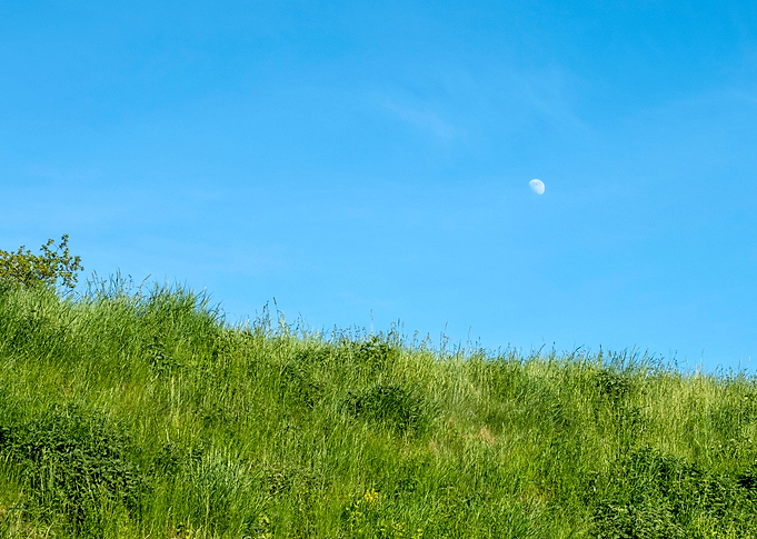 moon at daytime