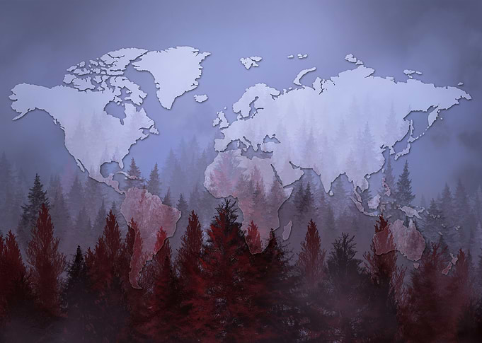 world map forest 2