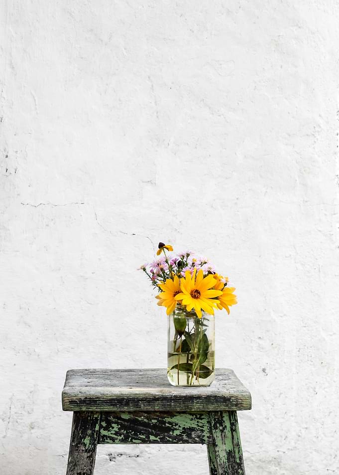 life of a flower
