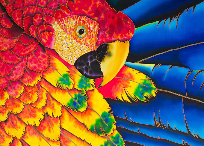Scarlet Macaw