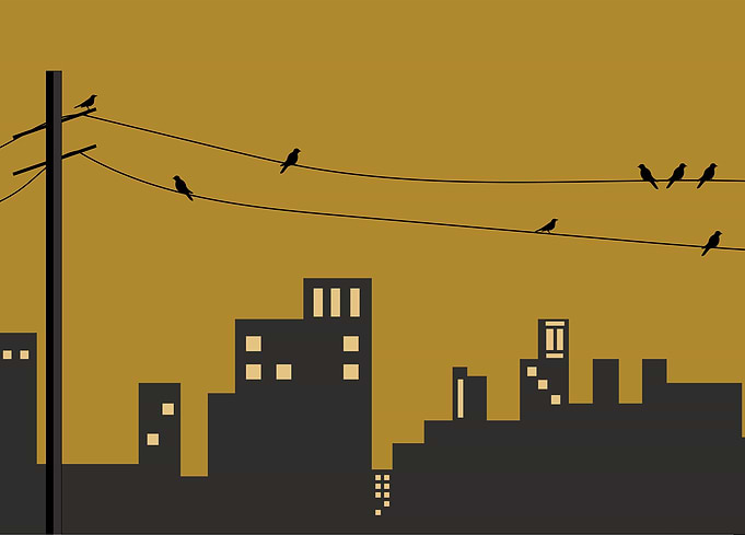 Landscape with birds