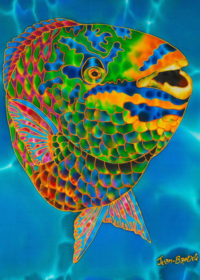Queen Parrotfish