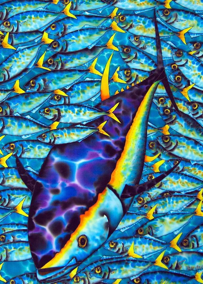 Yellowfin & Scad