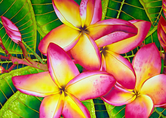 Frangipani