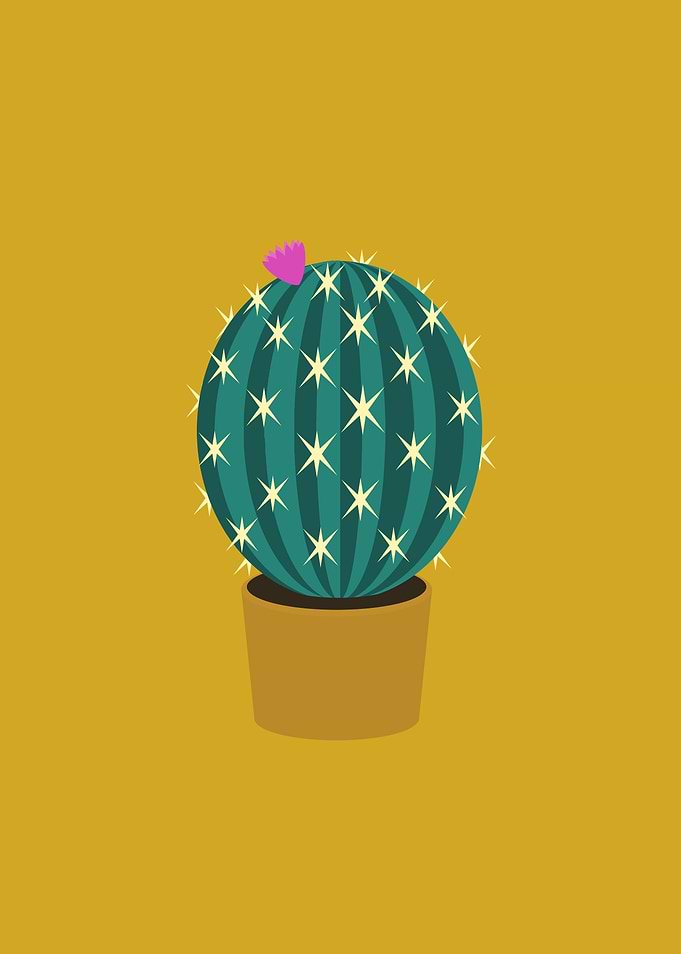 cactus