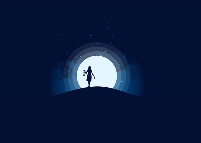Lady in Moonlight
