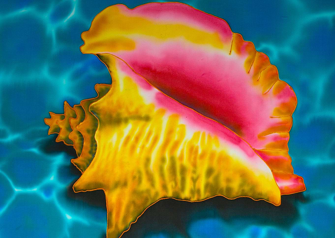 Queen Conch