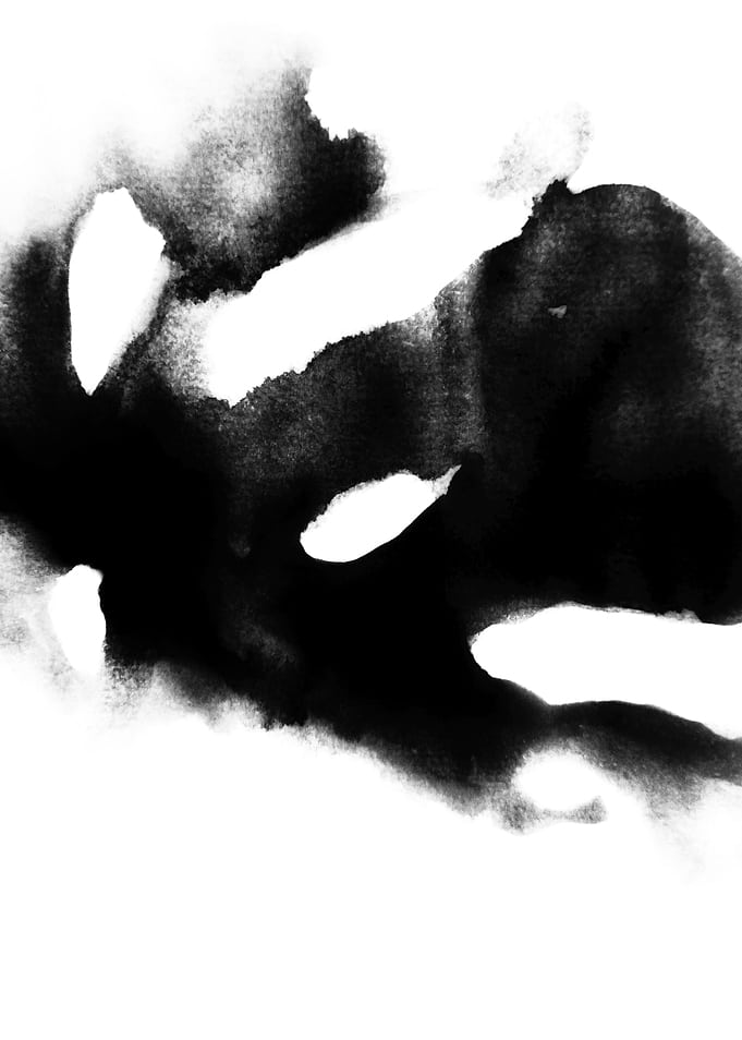 Dark Monstera