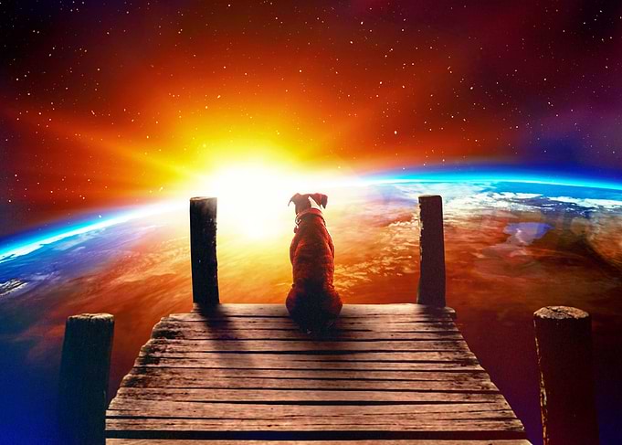 The Lone Companion
