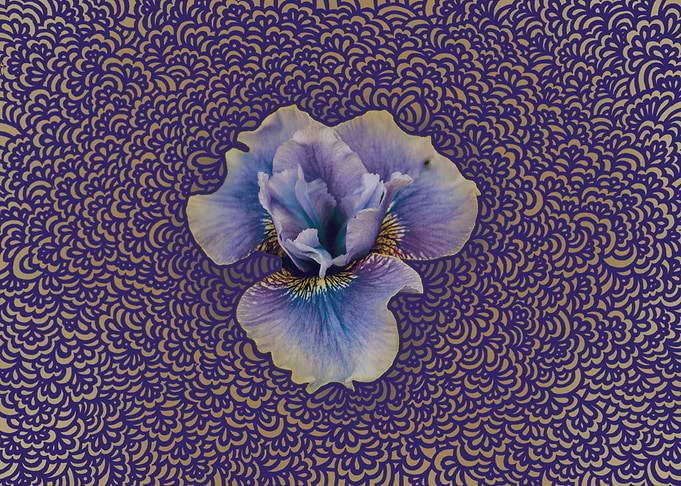 Iris Drawing Meditation
