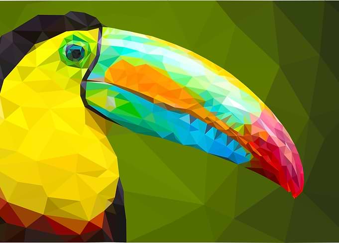 Toucan bird