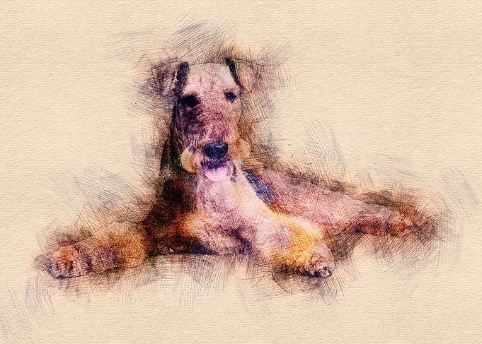 Airedale Terrier
