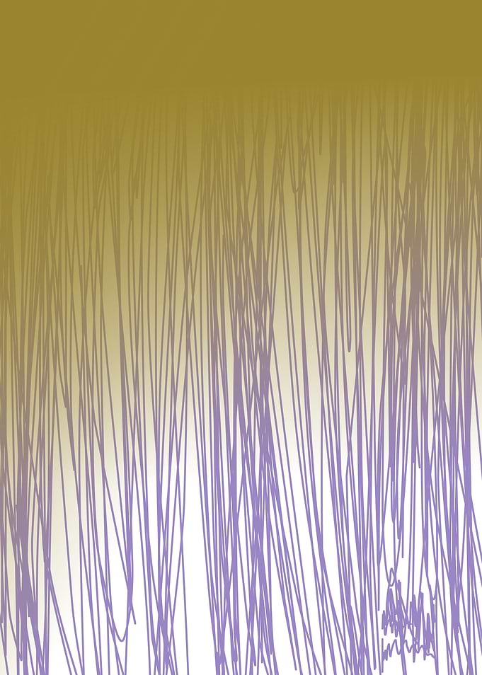 WILD GOLD LINES 50s