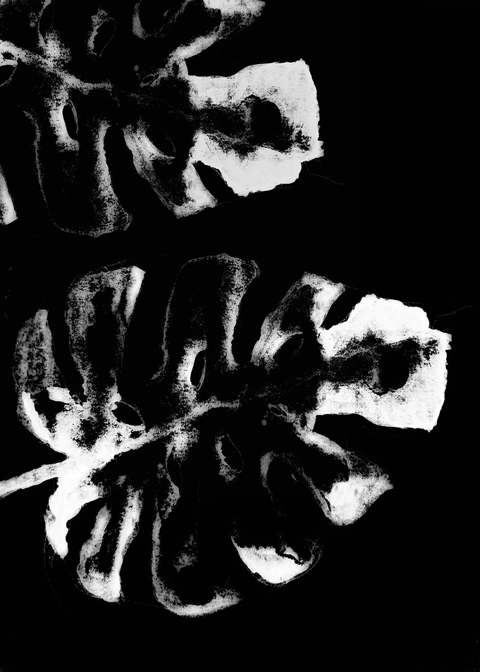 Weird Monstera