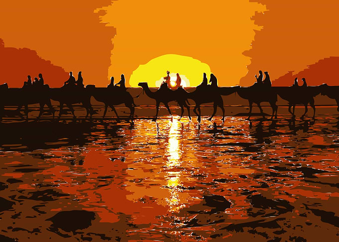 Camel Ride on the Beach