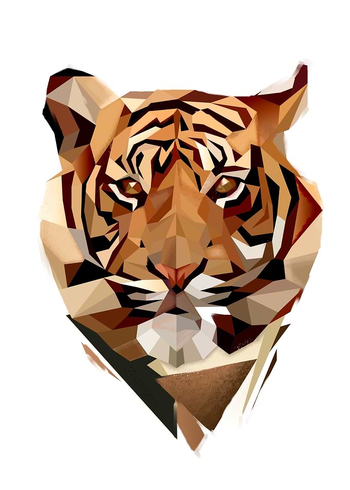 Tiger white