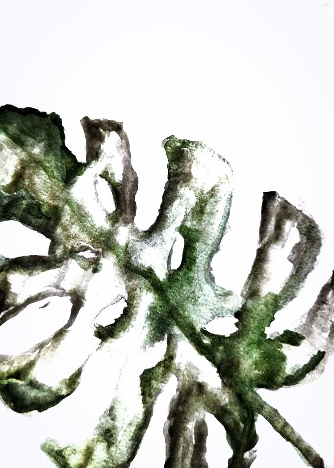 Watercolor Monstera