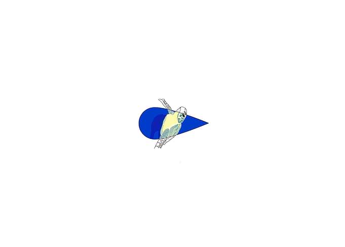 Turtle drop
