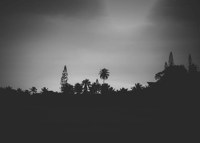 Pacific sunset