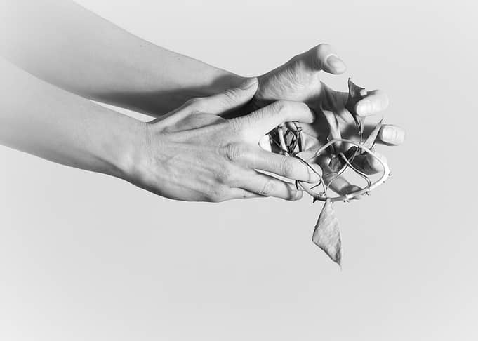hand and dried plant