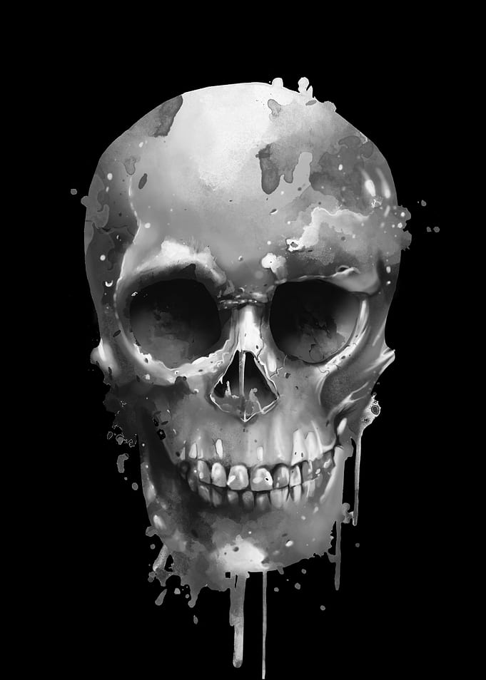 skull