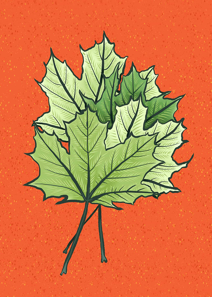 Green Leaves On Orange