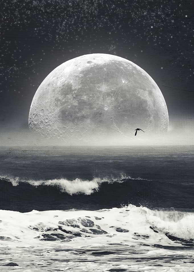 nocturnal wave