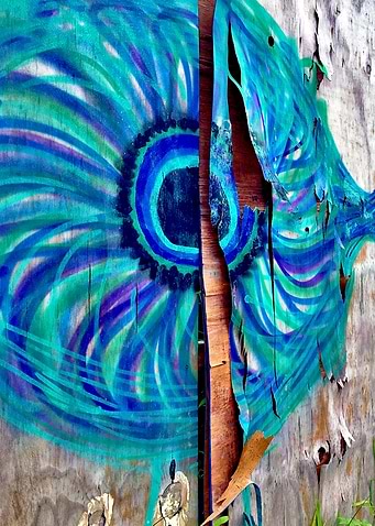 Pantanal fence_2018