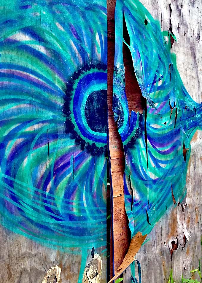 Pantanal fence_2018