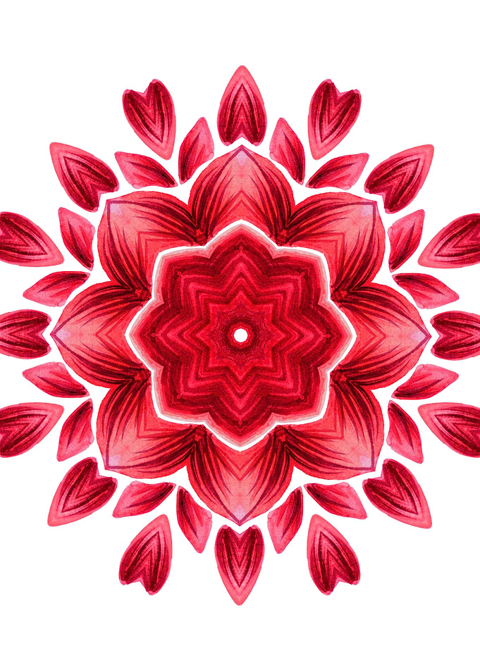 Red Petal Abstract Flower