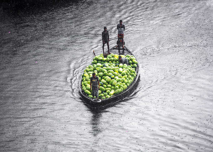 Watermelon transporting