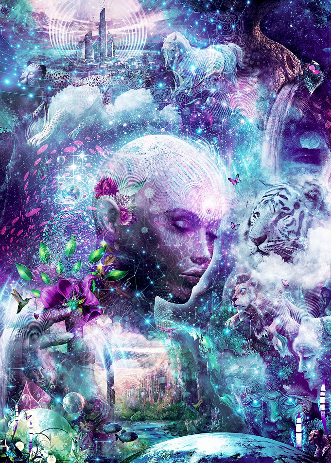 Discovering The Cosmos