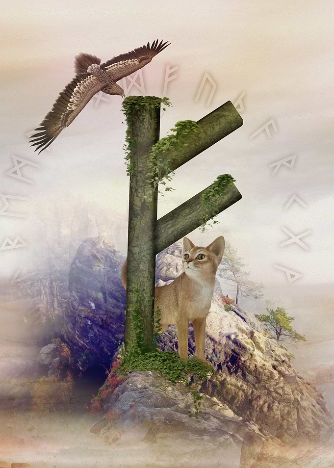 Fehu Rune Digital Art