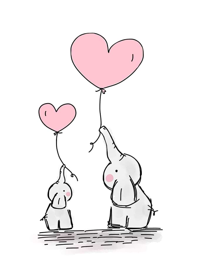 Elephant Baby And Mother