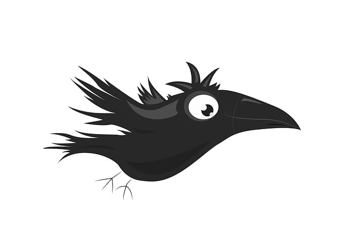 Clusmsy Crow