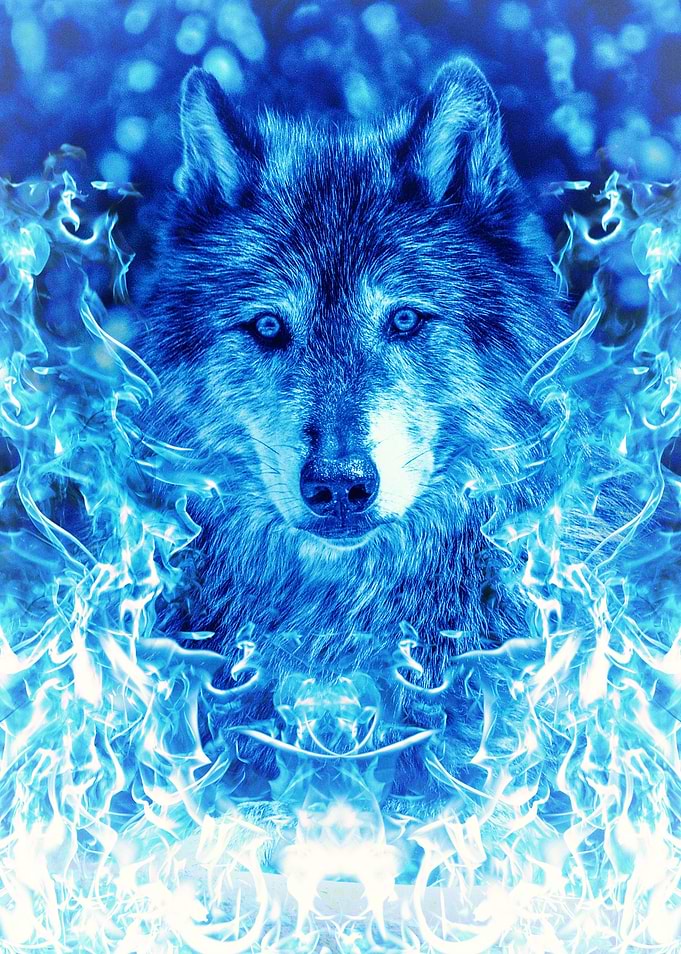 Blue Fire Wolf