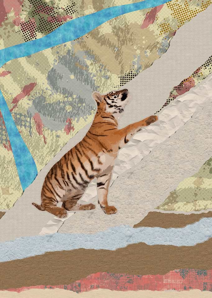 Tiger Cub - Mixed Media