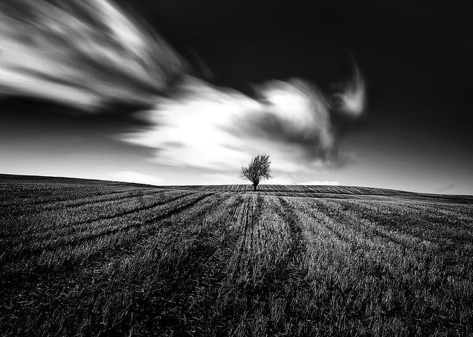 Farmland Field