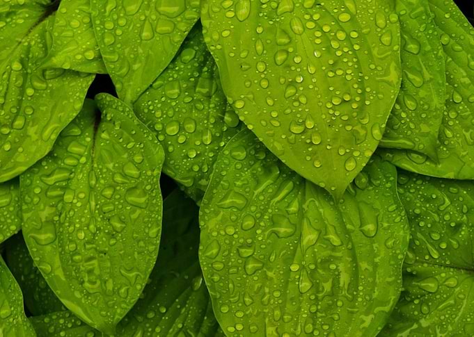Droplets