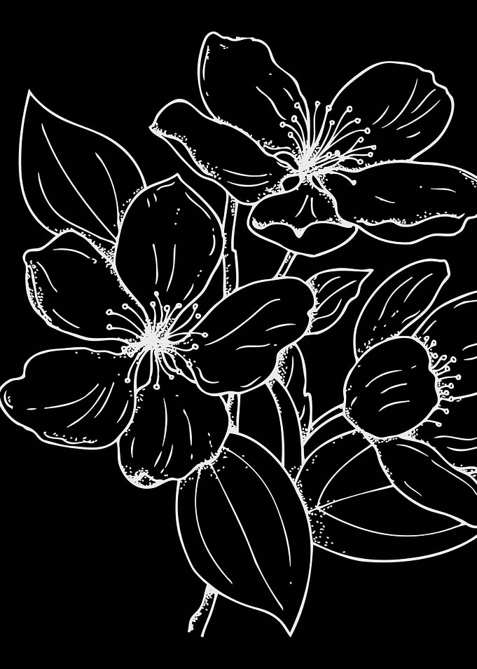 Floral Artwork